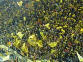 Bor.Dortmund vs Odds BK - 