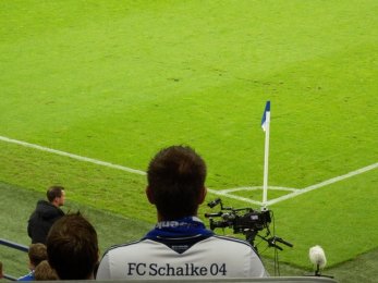 Schalke 04 vs Chelsea FC - Schalke fan
