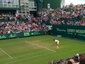 ATP Tour 250 - Halle 2014 - 