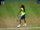 ATP Tour 250 - Halle 2014 - 