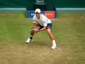 ATP Tour 250 - Halle 2014 - 