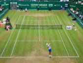 ATP Tour 250 - Halle 2014 - 