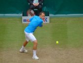 ATP Tour 250 - Halle 2014 - 