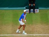 ATP Tour 250 - Halle 2014 - 